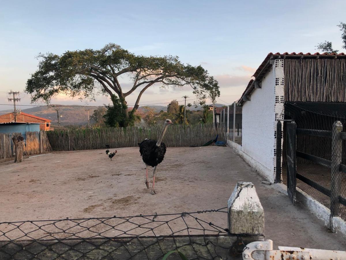 Flat 601 Condominio Villa Hipica - Gravata, Pe エクステリア 写真